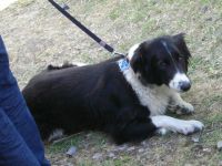 Sommerfest Baumberge 2010 192